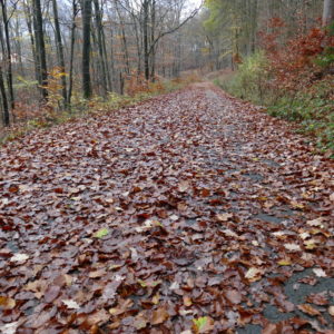 Wanderweg